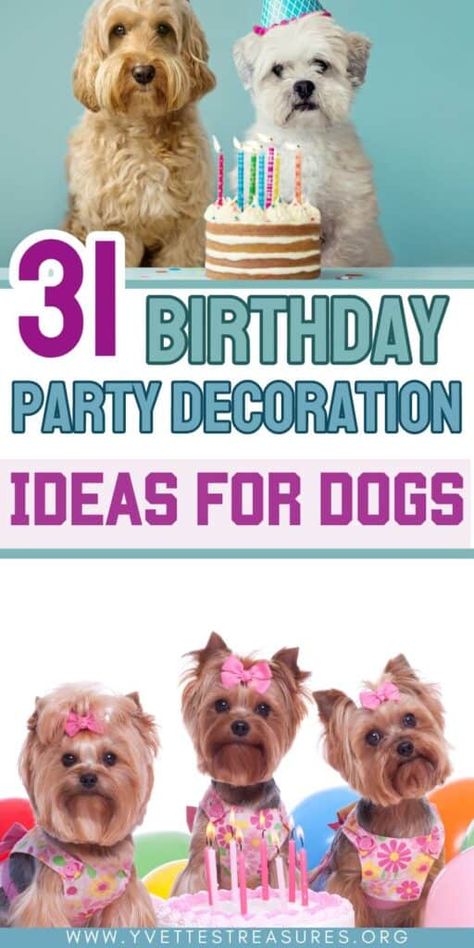 Dog Birthday Party Decoration Ideas Dog Birthday Decorations Diy, Dogs First Birthday Party Ideas, Doggy Birthday Party Ideas Decoration, Dogs Birthday Party Ideas, Puppy First Birthday Party Dogs, Birthday Party For My Dog, Birthday For Dogs Ideas, Golden Retriever Birthday Party Theme, Dog Birthday Ideas Decorations