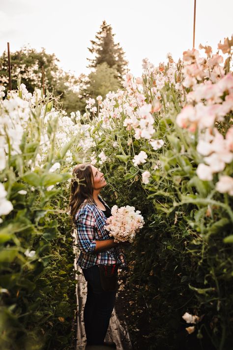 Growing Sweet Peas, Sweet Pea Seeds, Cut Flower Farm, Farmer Girl, Fall Bulbs, Dream Yard, Flower Farmer, Cut Flower Garden, Sweet Peas