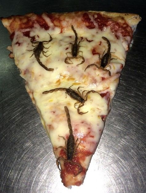 Scorpion Pizza Bizarre Foods, Gross Food, Calgary Stampede, Exotic Food, Think Food, Weird Food, Pizza Toppings, Cute Food, Scorpion