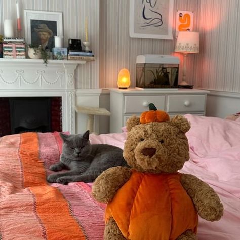 Meg (@meggghughes) • Instagram photos and videos Meg Hughes Bedroom, Meg Hughes, Heartstopper Theme, October Core, Fall Moodboard, Florida Girl, Aesthetic Lifestyle, Autumn Halloween, Room Deco