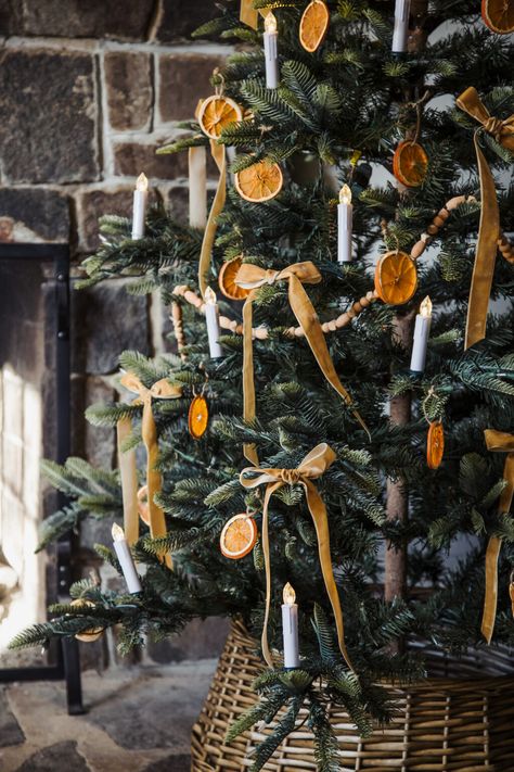 Dried orange slices: a Little Women inspired Christmas. - dress cori lynn Popcorn And Cranberry Garland Tree Orange Slices, Different Christmas Decor Aesthetics, Dried Oranges On Christmas Tree, Dried Orange Christmas Tree Decorations, Christmas Tree Ideas Orange Slices, Christmas Tree Ideas Nature Theme, Live Christmas Tree Decorations, Citrus Garland Christmas Tree, Christmas Tree Decorations Natural