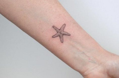 Mini Starfish Tattoo, Seastar Tattoo, Star Fish Tattoo, Above Elbow Tattoo, Starfish Tattoo, One Line Tattoo, Tattoos Inspo, Ocean Tattoos, Elbow Tattoos