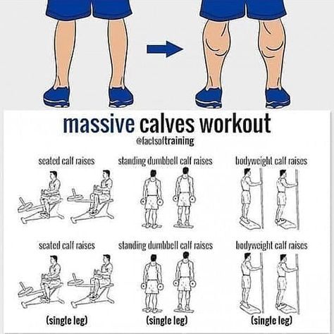 Calf Workout With Dumbbells, Massive Legs Workout, Calves Workout Men, Calf Exercises Men, Calf Workout For Men, Calfs Workout, Calf Workouts, Calves Workout, Calf Workout