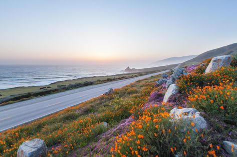 Earthy Backgrounds, Res Wallpaper, Lompoc California, California Wildflowers, California Coastline, Amazing Wallpaper, Best Vacation Spots, Big Sur California, Image Film