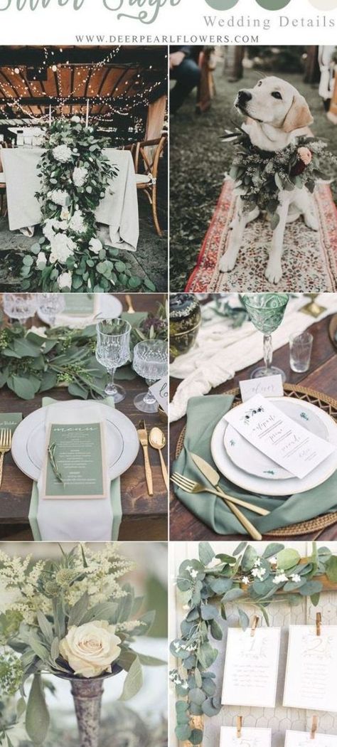 Popular Wedding Colors, Wedding Color Ideas, Silver Sage, Green Wedding Colors, Winter Wedding Colors, Sage Wedding, Rustic Wedding Signs, Sage Green Wedding, Wedding Color Inspiration