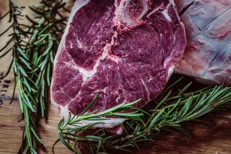 What Does Bear Meat Taste Like? - Foods Guy Bear Meat, Jus Lemon, Program Diet, Raw Meat, Beef Cheeks, Steak Cuts, Weekend Cooking, Chenin Blanc, Fettuccine Alfredo