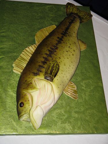 All sizes | Largemouth Bass 3 | Flickr - Photo Sharing! Fishing Cake Ideas, Bass Fish Cake, Fishing Cake, Sculpted Cakes, Fishing Party, Bass Fish, Fishing Birthday, Largemouth Bass, Fish Cake