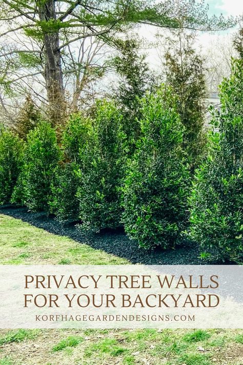 Privacy Landscaping is a major desire of many homeowners. Let’s walk through the steps on how to achieve this custom, private look. Backyard Tree Privacy Ideas, Layered Privacy Landscaping, Narrow Privacy Landscaping, Tree Privacy Landscaping, Landscaping Privacy Trees, Privacy Walls Backyard, Landscape Privacy Ideas, Privacy Trees Between Houses, Front Yard Privacy Landscaping