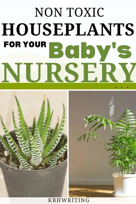 15 Best Non-Toxic HousePlants For Your Baby’s Nursery Plants For Nursery Baby Rooms, Nursery With Plants, Plants For Baby Nursery, Plant Nursery Ideas, Cast Iron Plant, Parlor Palm, Natural Nursery, Rubber Plant, Iron Plant