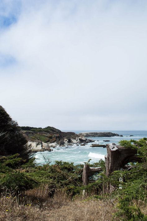 Sea Ranch, Sonoma County Coastal Cowgirl Birthday, Sea Ranch California, The Sea Ranch, Kauai Vacation, Mendocino Coast, Short Vacation, Sea Ranch, Beach Walks, Carmel Valley