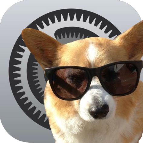 Dog App Icon, Iphone Themes, Icon Ideas, Dog Icon, Phone Icons, Phone Icon, Iphone Icon, Animal Design, App Icon