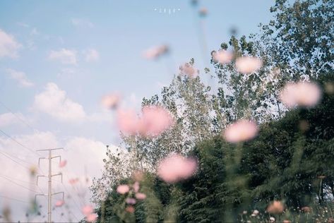 All The Bright Places, Foto Art, Laptop Wallpaper, Film Aesthetic, Nature Aesthetic, What’s Going On, Pretty Places, Ipad Wallpaper, Minimalist Poster