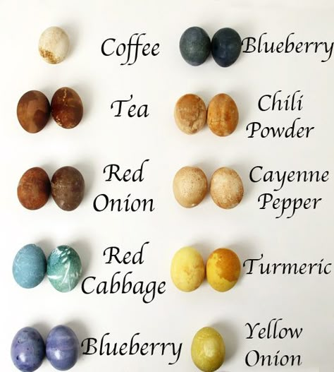 natural dyed easter eggs Diy Easter Eggs Dye, Natural Egg Dye, Easter Egg Projects, Natural Easter Eggs, Diy – Velikonoce, Naturally Dyed Easter Eggs, Egg Dye, Easter Egg Dye, Easter Eggs Diy