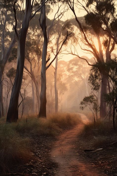 Nature, Australian Trees Drawing, Australian Forest, Cottage Airbnb, Bush Photography, Australian Landscapes, Australian Nature, Australia Landscape, Australian Farm