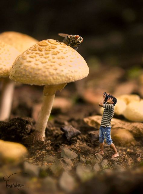 I Shrink Myself To Fit Into A Tiny World | Bored Panda Miniature Calendar, Macro Photographers, Miniature Photography, Cute Valentines Day Gifts, Miniature Portraits, Tiny World, Composition Photography, Miniature Figures, Box Ideas