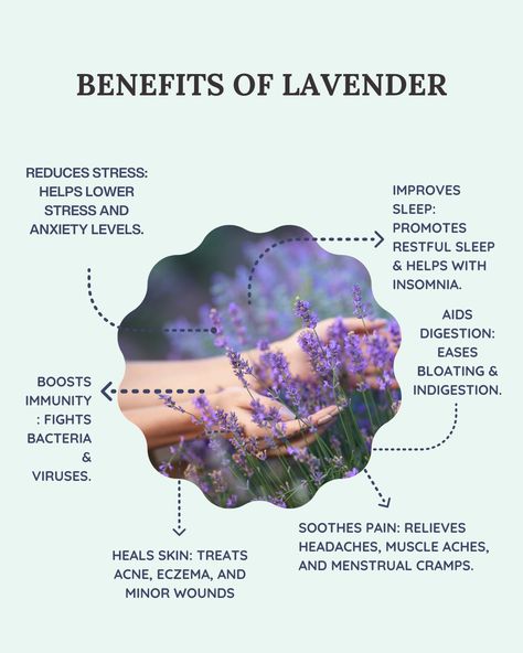 Lavender Oil For Sleep, Using Lavender, Benefits Of Lavender, Lavender For Sleep, Calming Room, Lavender Benefits, Pillow Spray, How To Relieve Headaches, Herbal Healing