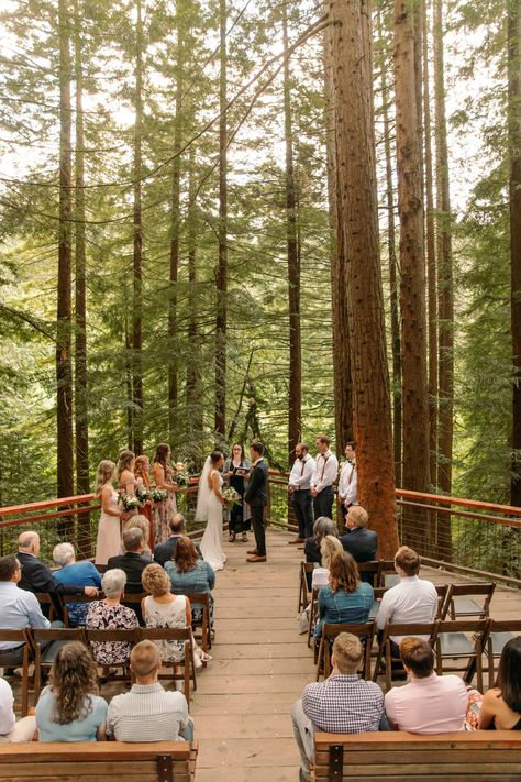 Redwoods Hoyt Arboretum Wedding - Baileaves Photography Redwood Wedding Decorations, Redwood Grove Wedding, Hoyt Arboretum Wedding, Hoyt Arboretum Wedding Redwood Deck, Hoyt Arboretum, Redwood Forest Wedding Elopements, Saratoga Springs Wedding Redwood Grove, Tree Deck, Arboretum Wedding