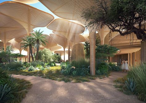 Red Sea Project, مركز ثقافي, Timber Roof, Foster Partners, Hotel Building, The Red Sea, Shade Structure, Construction Design, Roof Design