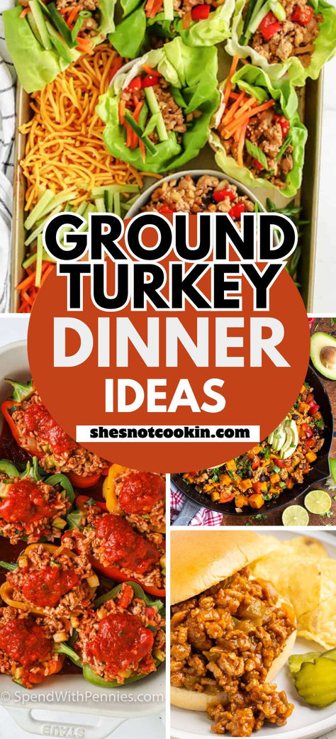 Photo collage of ground turkey dinner ideas with text overlay. Dinner Ground Turkey Recipes, Easy Turkey Dinner Recipes Thanksgiving, Easy Ground Turkey Meals, Ground Turkey Lunches, Easy Dinner Recipes With Ground Turkey, Ground Turkey Easy Recipes, Recipes For Ground Turkey Dinners, Ground Turkey Breast Recipes For Dinner, Best Ground Turkey Recipes Healthy