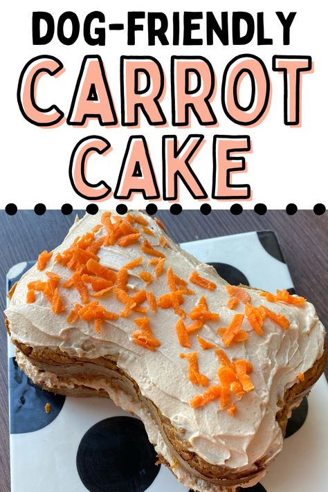 Are you looking for more homemade dog treats? Look no further, this carrot cake for dogs is made of dog-safe ingredients and an easy recipe to follow. Perfect for dog birthdays or gotcha days! Carrot Cake For Dogs Recipe, Dog Cake Recipe Easy, Dog Cakes For Dogs, Doggie Desserts, Dog Friendly Cake, Cake For Dogs, Doggie Birthday, Dog Birthday Cake Recipe, Dog Treats Homemade