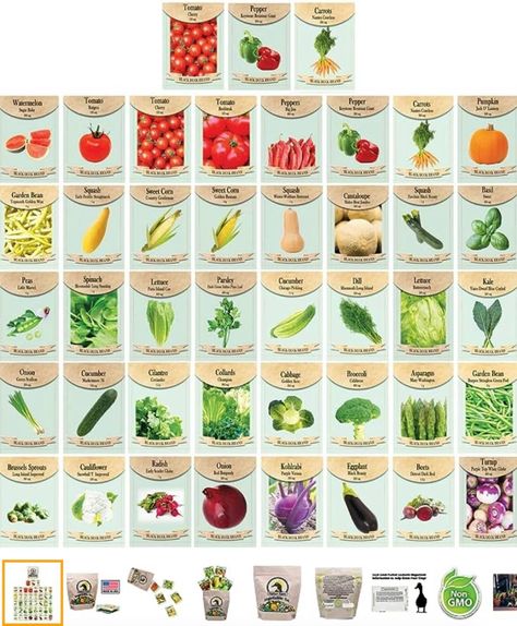 Set of 43 Assorted Vegetable & Herb Seed Packets - Over 10,000 Seeds! - Includes Mylar Storage Bag - Deluxe Garden Heirloom Seeds - 100% Non-GMO Gardening Supplies, Vegetable Seeds Packets, Magick Book, Vegetable Seeds, Herb Seeds, Heirloom Seeds, Seed Packets, Sweet Corn, Non Gmo