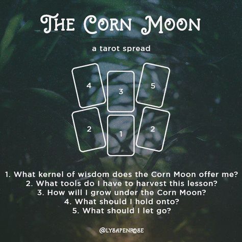 Harvest Moon Tarot Spread, Corn Moon, Tarot Spread, Witchy Stuff, Harvest Moon, Tarot Spreads, Spreads, Letting Go, Tart