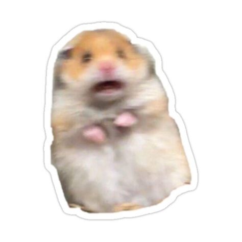 Tumblr, Screaming Hamster, Hamster Sticker, Hamster Meme, Stickers Cool, Funny Hamsters, Homemade Stickers, Snapchat Stickers, Red Bubble Stickers