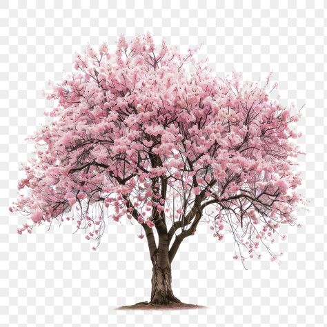 Sakura Flower Tree, Cherry Blossom Png, White Flower Png, Aesthetic Pngs, Blossom Drawing, Cherry Blossom Drawing, Illustrator Portrait, Pink Blossom Tree, Portrait Tutorial