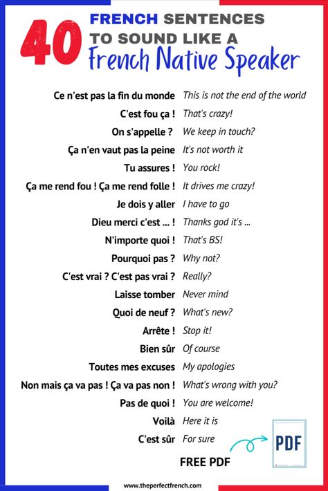 New blog post! 
40 French sentences to sound like a native French speaker. Take the time to listen to the audio and to look at the examples. 
And don't forget your free PDF to keep and review 📄🤩 French Language Basics, French Sentences, French Conversation, Useful French Phrases, French Flashcards, Basic French Words, French Worksheets, French For Beginners, French Activities