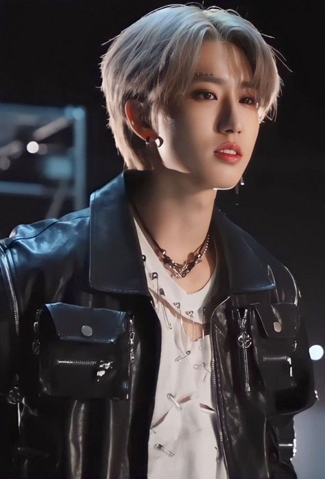 Han Jisung Silver Hair, Quokka Baby, Baby Squirrel, Skz In Cute, Savage Kids, Homeless Children, Han Jisung, Ji Sung, Crazy Kids