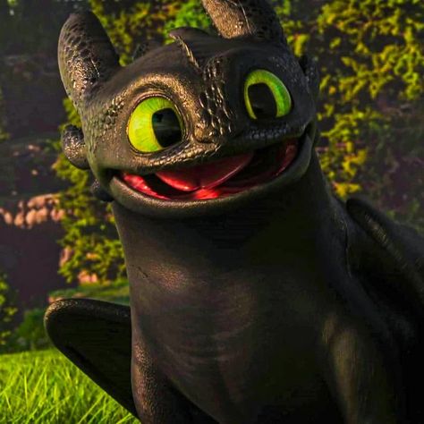 Toothless Wallpaper, Cute Toothless, Httyd Toothless, Toothless And Stitch, Train Dragon, Weird Photography, Toothless Dragon, Httyd Dragons, Dragon Trainer