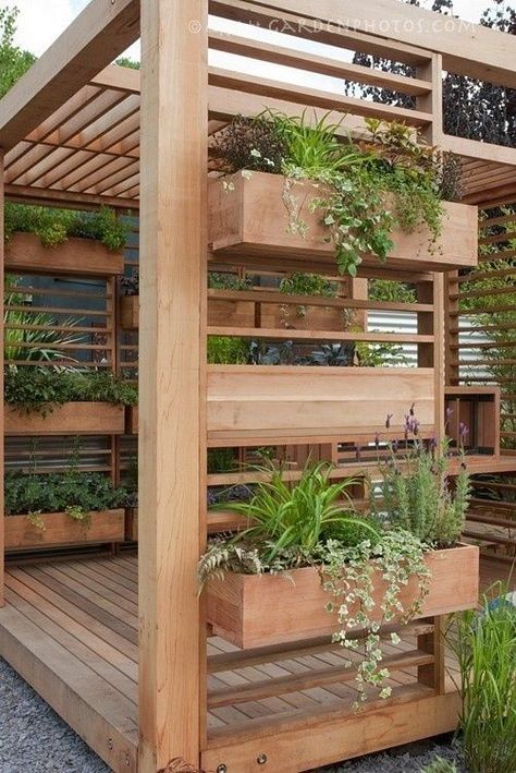 Pergola Architecture, Wall Gardens, Mosquito Curtains, Backyard Ideas For Small Yards, Backyard Plants, Wooden Pergola, Backyard Pergola, Walled Garden, Backyard Porch