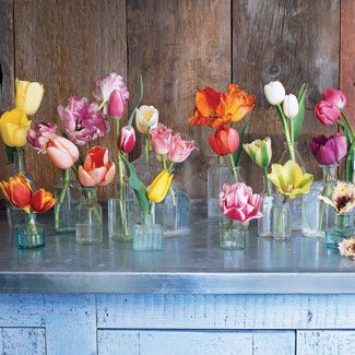 For a striking show, group tulips singly in small, clear vases. #gardening #flowers #tulips Bud Vase Centerpiece, Flowers In Vases, Tulips Arrangement, Tulip Wedding, Spring Centerpiece, Diy Arrangements, Tulips In Vase, Flower Arrangements Diy, Vase Arrangements