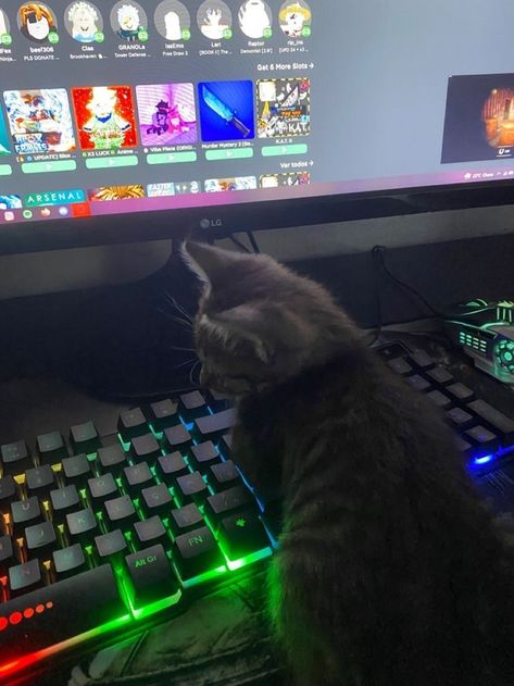 Cat and meow gaming No Profile Picture Aesthetic, Gamer Cat, Red Quotes, Creative Origami, Boyfriend Pranks Pictures, People Come And Go, Gamers Anime, Video Game Rooms, Cool Boy Image