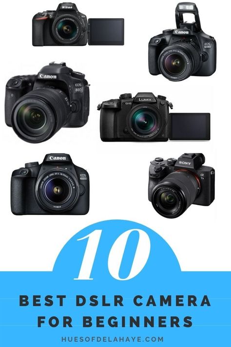 Best Dslr Camera Photography, Dslr For Beginners, Best Dslr Camera For Beginners, Best Beginner Photography Cameras, Cannon Camera For Beginners, Best Digital Camera For Photography, Best Starter Camera For Photography, Starter Camera For Photography, Photography For Beginners Canon