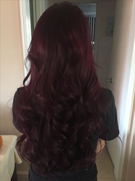 Gorgeous wine/eggplant hair Darkest Burgundy Hair, Dark Wine Red Hair Burgundy, Ruby Noir Hair Color, Curly Plum Hair, Deep Mahogany Hair Color, Ruby Wine Hair Color, Deep Wine Hair Color, Dark Wine Hair, Eggplant Hair Color