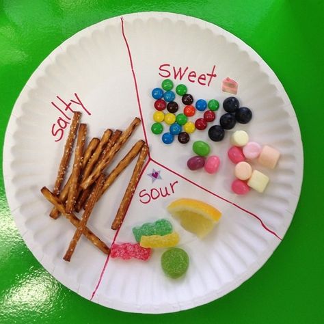 5 Senses Food Activities, Taste 5 Senses Preschool, Sense Of Taste Activities Preschool Science Experiments, My 5 Senses Preschool Crafts, Taste Sensory Activities, 5 Senses Taste Test Preschool, My 5 Senses Crafts For Toddlers, Taste And Smell Activities Preschool, Taste Preschool Activities