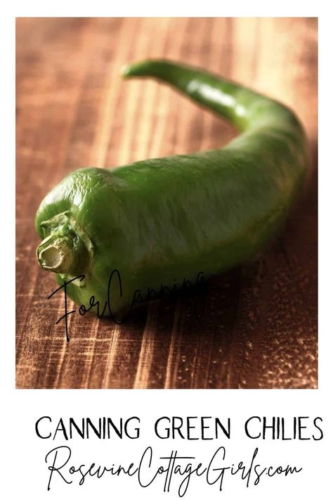 Green Chilis, Canned Green Chili Recipes, Canning Green Chili Sauce, Canning Green Chilis, Canning Green Chilies, Canning Hatch Green Chili Sauce, Canning Green Chili Peppers, Canning Hatch Green Chilies, Canning Tomatoes And Green Chilis