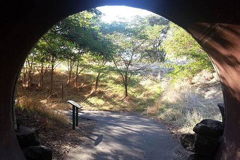 The Dalles Oregon, Bicycle Trail, Columbia Gorge, Trail Signs, Pocket Park, Painted Hills, Oregon Trail, Look At The Sky, Central Oregon