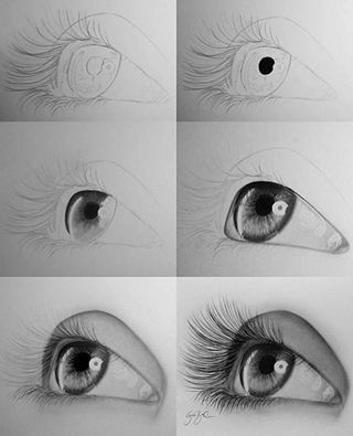 Roosevelt Drawing 1 | The Art of Seeing | Page 4 Realistic Eye Drawing, Drawing Hands, Eye Drawing Tutorials, Drawing Hair, Eye Sketch, Drawing Faces, Art Drawings Sketches Pencil, Sketchbook Pages, Pencil Art Drawings