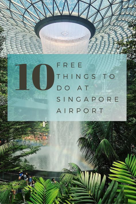 How to have the best time on a layover at Singapore Changi Airport. Watch a free movie, sip a Singapore Sling and visit the world's largest indoor waterfall. Singapore Stopover, Girl Tweets, Henderson Waves, Singapore Travel Tips, Singapore Changi Airport, Singapore Sling, Airport Tips, Changi Airport, Indoor Waterfall