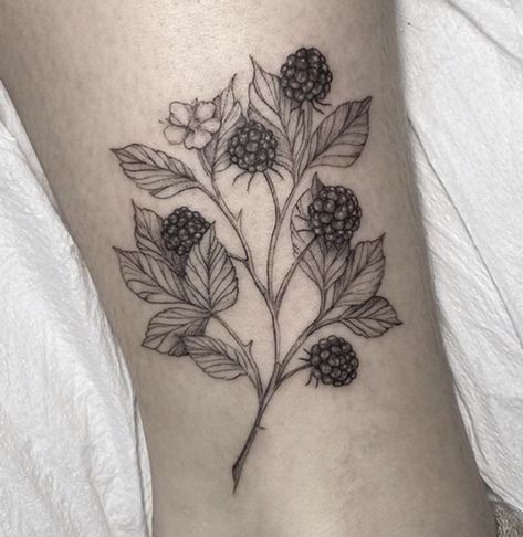 Delicious realistic blackberry tattoo on ankle done by @ipektattoo at @fleurnoiretattoo #fleurnoiretattoo #simpletattoo #ankletattoo #delicatetattoo #inspiration #inspirationtattoo  #nyctattoo #nyctattooartist #brooklyntattoo #brooklyntattooartist #newyorktattooartist #newyorktattoo #botanicaltattoo #botanicaltattoos #botanicalillustration #blackworktattoo #blackworktattoos  #finelinetattoo #finelinetattoos  #floraltattoos #williamsburg #blackberries #fruittattoo #blackberryttoo #berrytattoo Blackberry Forearm Tattoo, Blackberry Bramble Tattoo, Blackberry And Flower Tattoo, Wild Blackberry Tattoo, Blackberry Sprig Tattoo, Blackberry Tattoo, Snail Tattoo, Beetle Tattoo, Fruit Tattoo