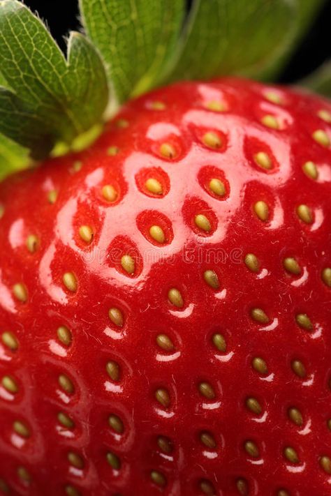 Fresh strawberry close-up. Close-up detail of a fresh red strawberry with leaves #Sponsored , #ad, #Affiliate, #strawberry, #Close, #red, #close Close Up Art, Foto Macro, Natural Form Art, Prismacolor Art, Fruit Photography, Foto Tips, Fruit Painting, Close Up Photography, Fruit Art