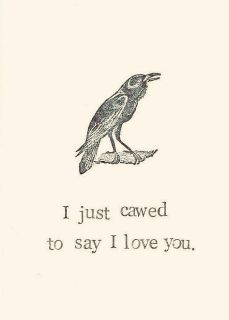 Raven Quotes, Dreamer Quotes, Crows Ravens, Say I Love You, Classic Literature, The Dreamers, I Love You, Literature, Love You