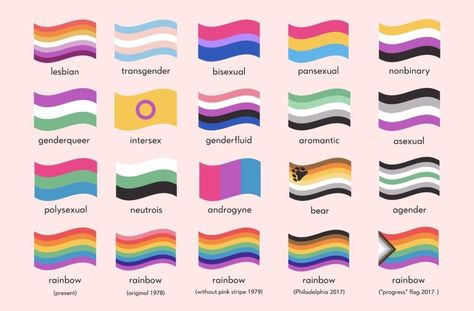 A Brief History of Our LGBTQIA2-S Pride Flag - Department of Mental Health Triangle Symbol, Trans Pride Flag, Different Flags, Inkle Weaving, Trans Flag, Gay Flag, Rainbow Flag Pride, Lgbtq Flags, Lgbt Flag