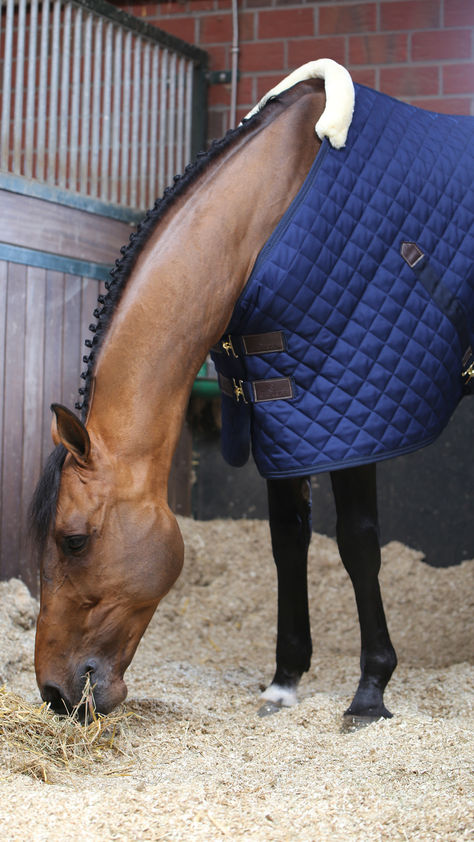 Make sure your horse is comfy and warm with Kentucky Horsewear Rugs ❄️ Bringing the best for your horse right to your doorstep 🛒🐴 Horse Rug, Equestrian Aesthetic, Horse Rugs, Horse Jumping, Equestrian Life, Make Sure, Kentucky, Equestrian, Horses