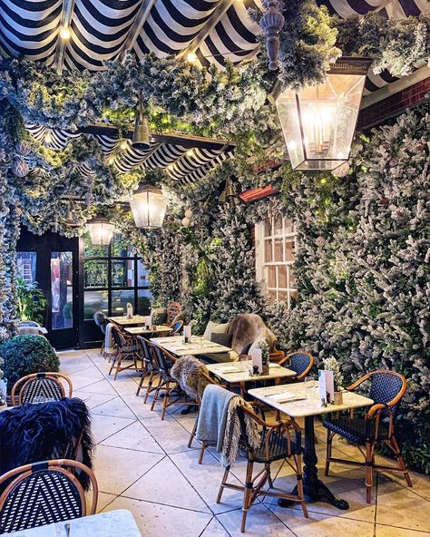 Gulshan on Instagram: “Just realising we still have winter for another two months 🤔 @dallowayterrace” Mediterranean Cafe, Cafe Exterior, Brunch Restaurants, Retro Cafe, Parisian Cafe, Cafe House, French Cafe, Garden Cafe, Cozy Cafe