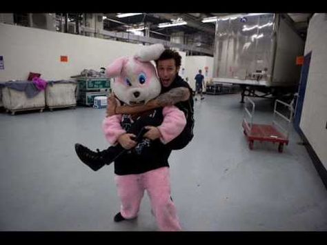 Mike with the pink bunny !!!! Mike Dirnt, Billie Green Day, Jason White, Green Day Billie Joe, Tré Cool, Emo Memes, Bunny Suit, Billie Joe Armstrong, Emo Bands