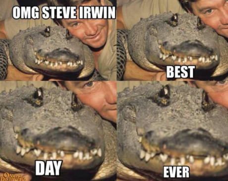 Steve Irwin Funny Aussie, Aussie Memes, Australian Memes, Funny Australian, Australia Funny, Steve Irwin, Image Fun, Relatable Post Funny, Crocodiles