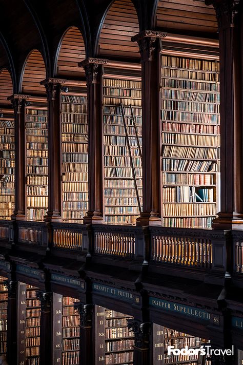 Lots Of Books, Studera Motivation, Dream Library, Beautiful Library, Library Aesthetic, Old Library, Hogwarts Aesthetic, Have Inspiration, Dark Academia Aesthetic